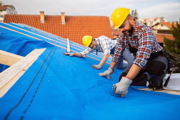 Best Roof Repair Services  in Veedersburg, IN